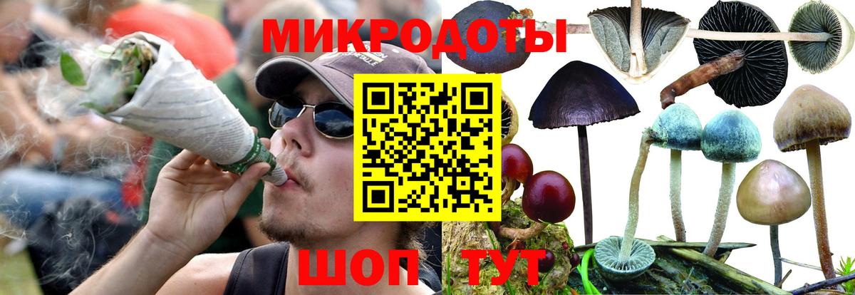 Псилоцибиновые грибы мицелий  где найти   Елабуга  Вход с VPN 